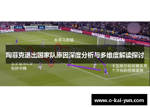 陶菲克退出国家队原因深度分析与多维度解读探讨