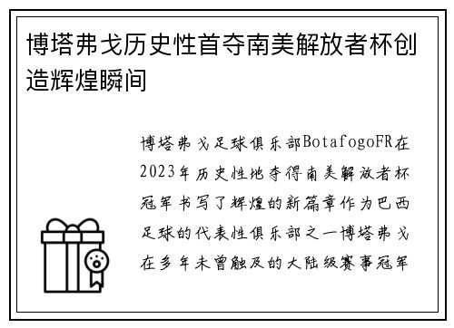 博塔弗戈历史性首夺南美解放者杯创造辉煌瞬间